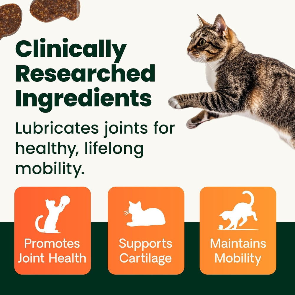 GlycoFlex with glucosamine and MSM active ingredients support joints.