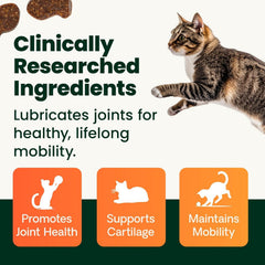 GlycoFlex with glucosamine and MSM active ingredients support joints.