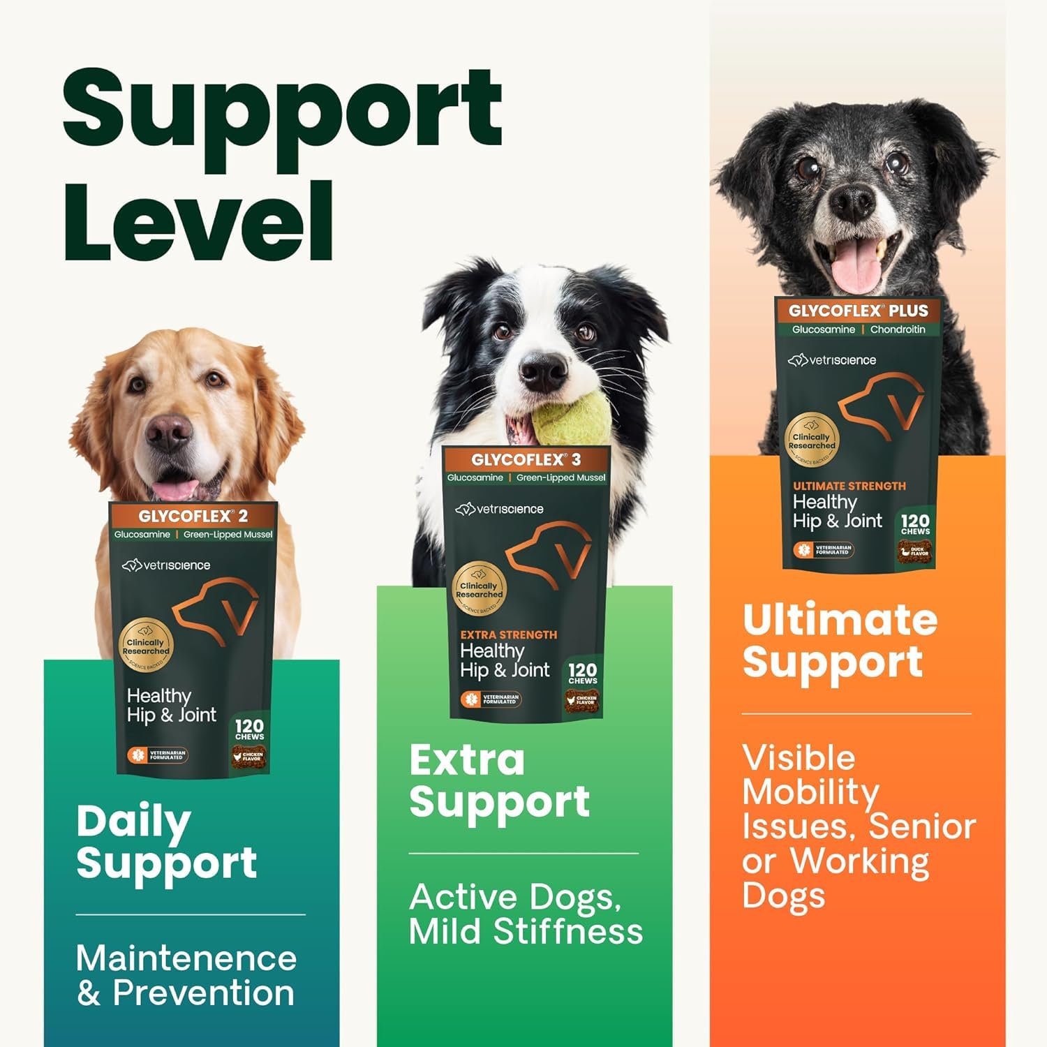 Close-up of GlycoFlex 2 chews showing texture and chewable form for daily use.