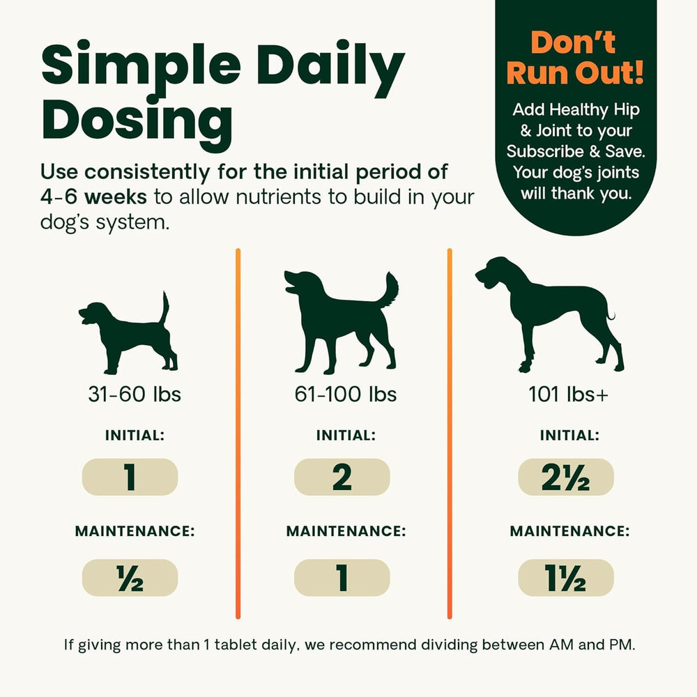 Active dog running with GlycoFlex 2 chews suggesting daily mobility benefits.