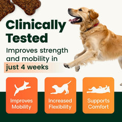 Dosage chart illustration for GlycoFlex 2 to guide weight-based dosing.