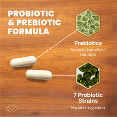 vetriscience gut health bottle with cap removal, showing convenient administration
