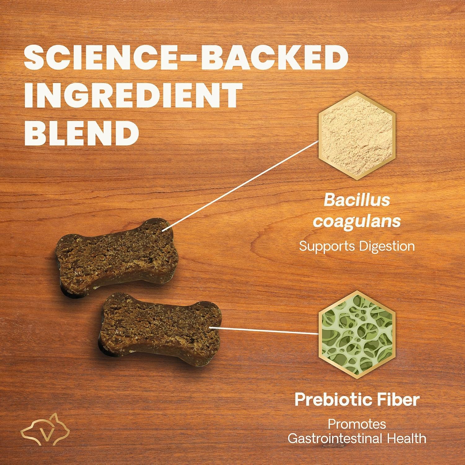 Dog happily eats VetriScience Gut Health Chews for digestive support.