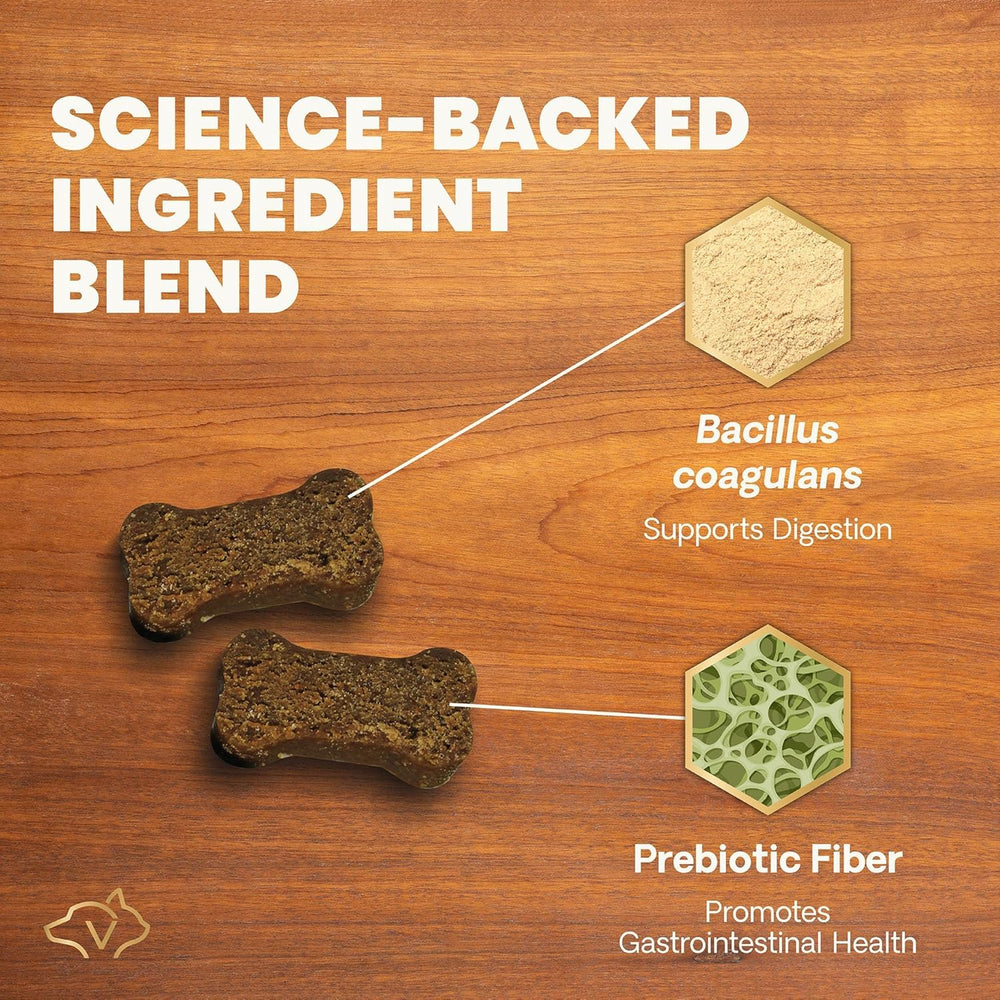 Dog happily eats VetriScience Gut Health Chews for digestive support.