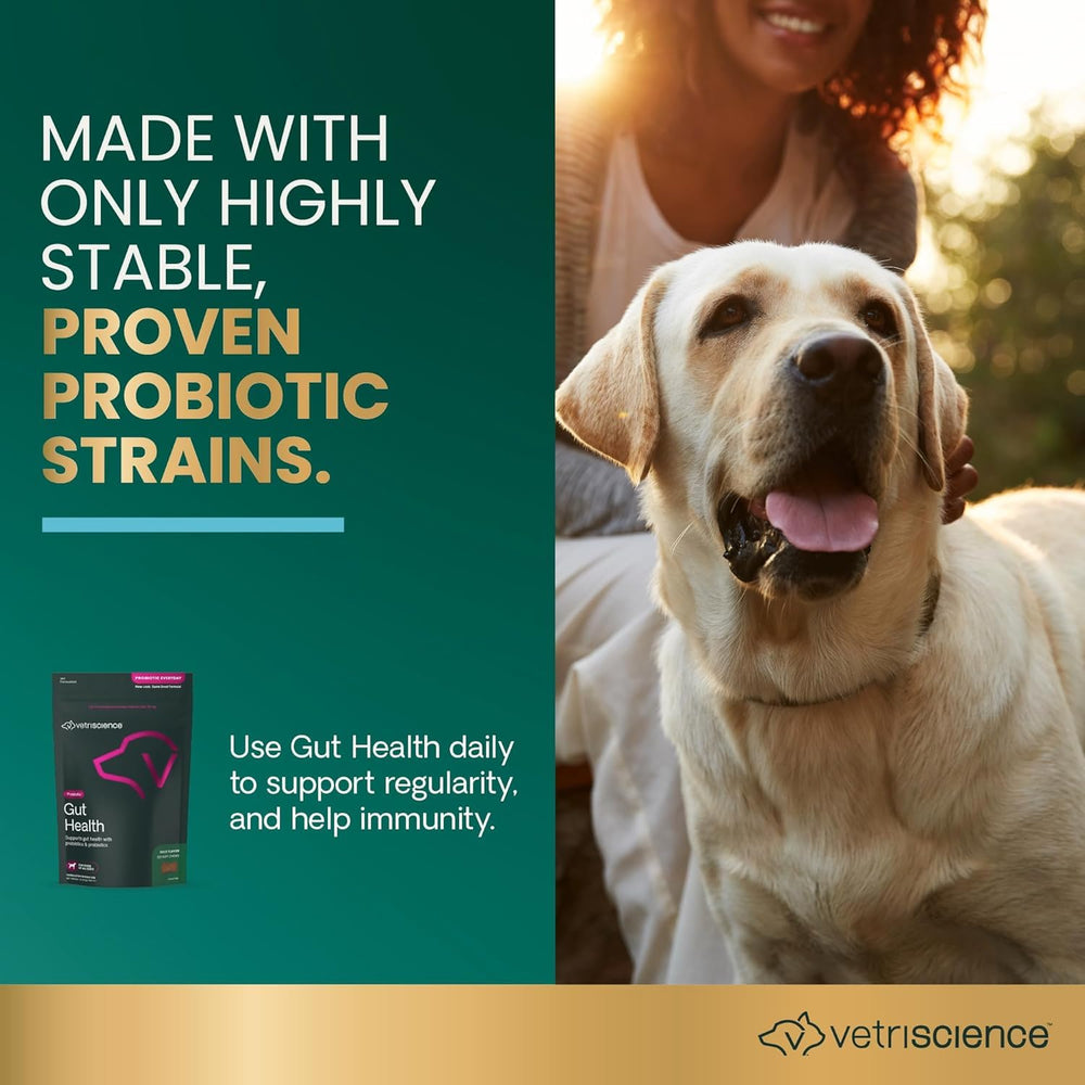 Close-up of VetriScience Gut Health Chews texture with duck flavor for dogs.
