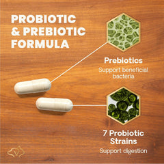 VetriScience Gut Health for dogs and cats digestive support during meals