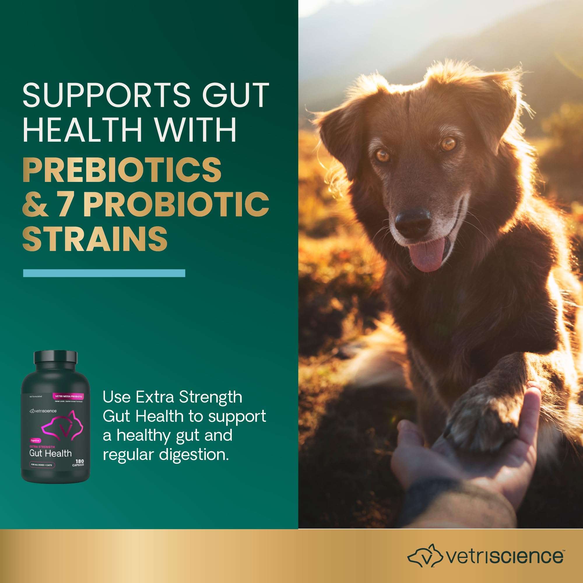 vetriscience gut health dog and cat digestive support bottle visual