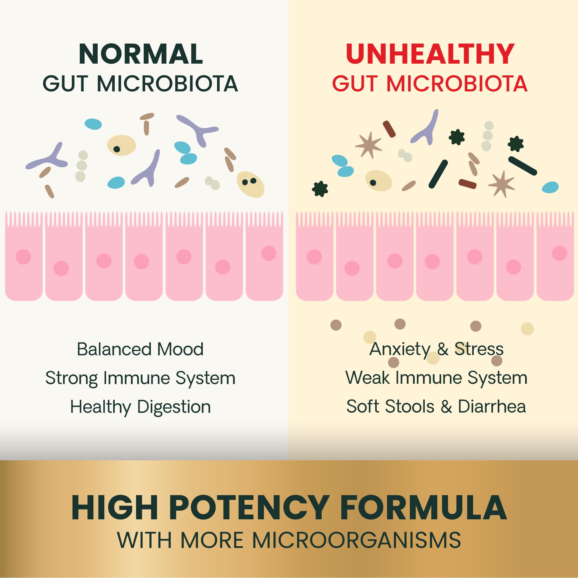 vetriscience gut health capsules beside meal bowl, illustrating sprinkle-into-food versatility