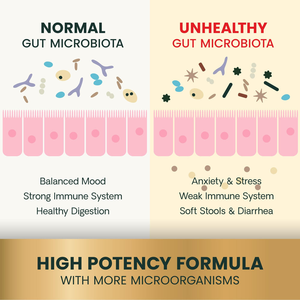 vetriscience gut health capsules beside meal bowl, illustrating sprinkle-into-food versatility