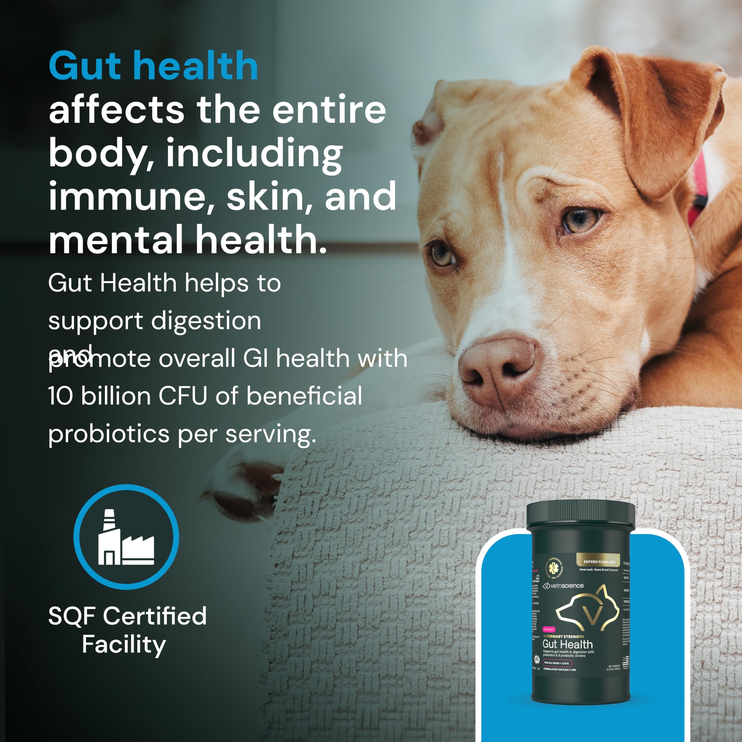 VetriScience Gut Health Powder bottle on shelf suggests everyday pet wellness routine.