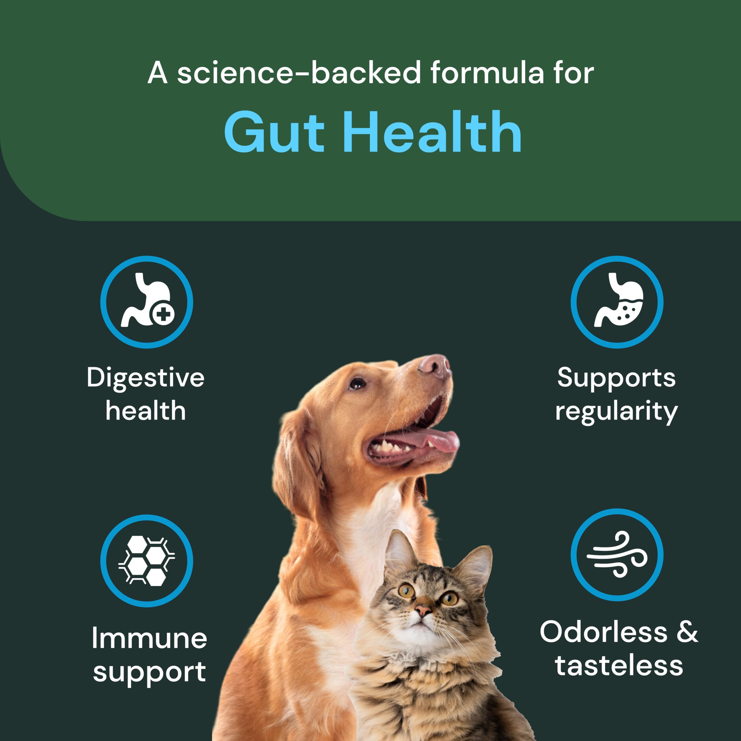 VetriScience Gut Health Powder cat serving illustrates simple addition to daily feeding.