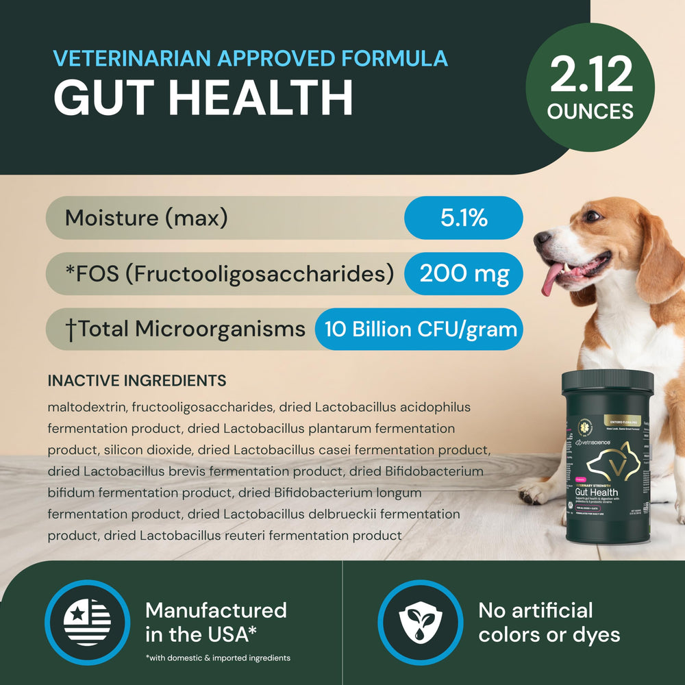 VetriScience Gut Health Powder dog serving aids daily digestion support for active dogs.