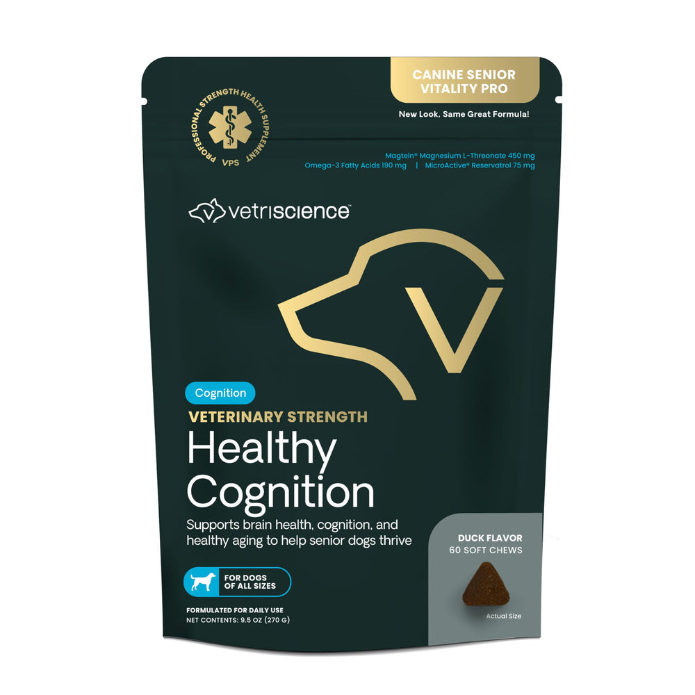 VetriScience Healthy Cognition Chews bottle supports cognitive function in aging dogs.