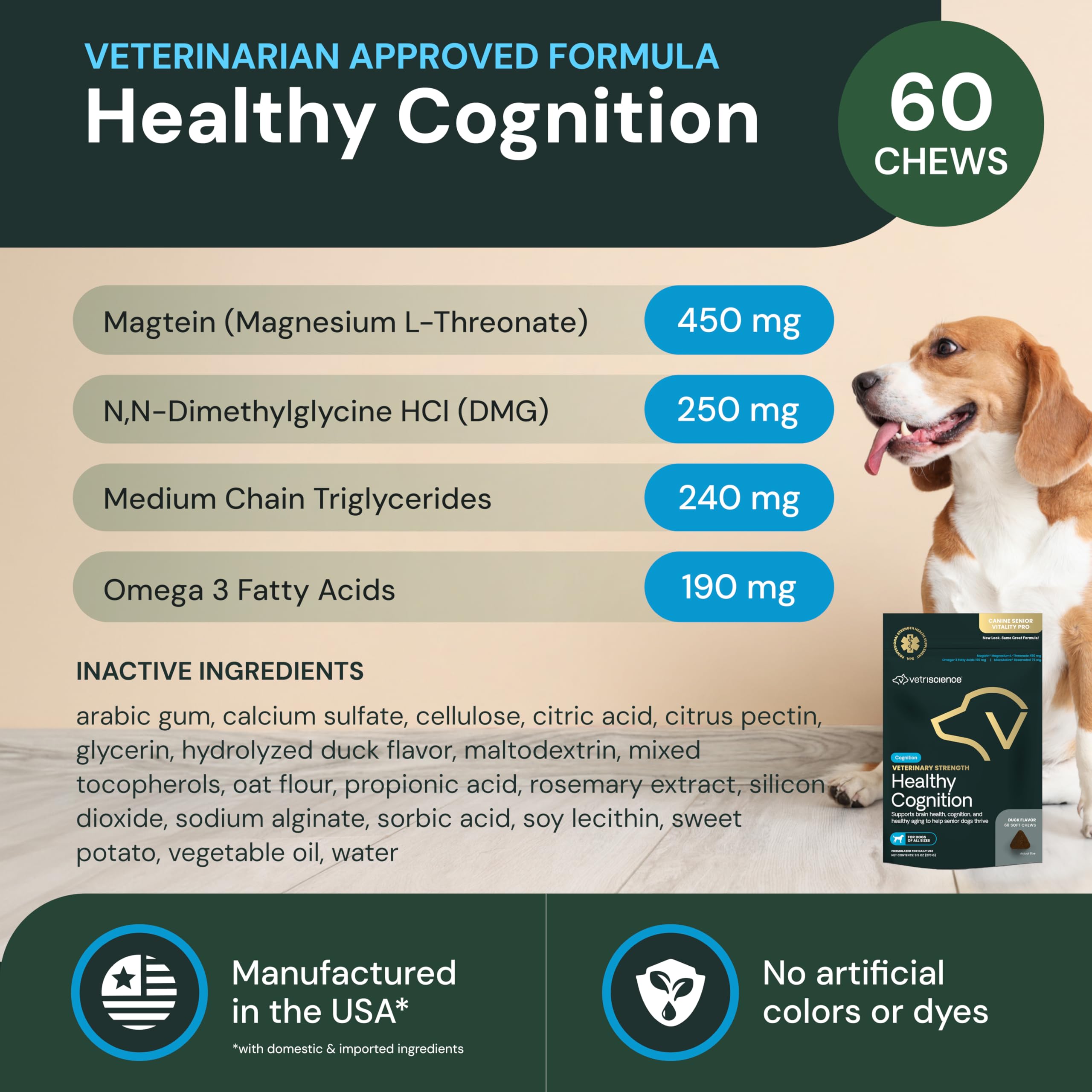 Portrait of a dog with VetriScience Healthy Cognition Chews for aging wellness.