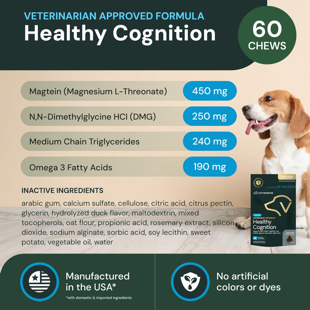 Portrait of a dog with VetriScience Healthy Cognition Chews for aging wellness.