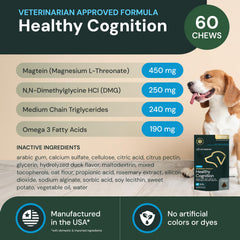 Portrait of a dog with VetriScience Healthy Cognition Chews for aging wellness.