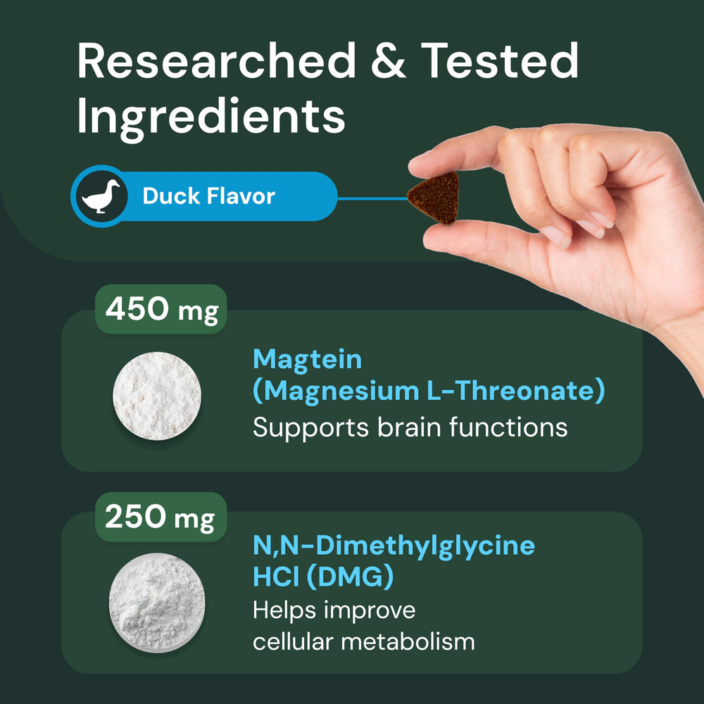 Close-up of VetriScience Cognition Chews ingredients featuring Magtein and immune nutrients.