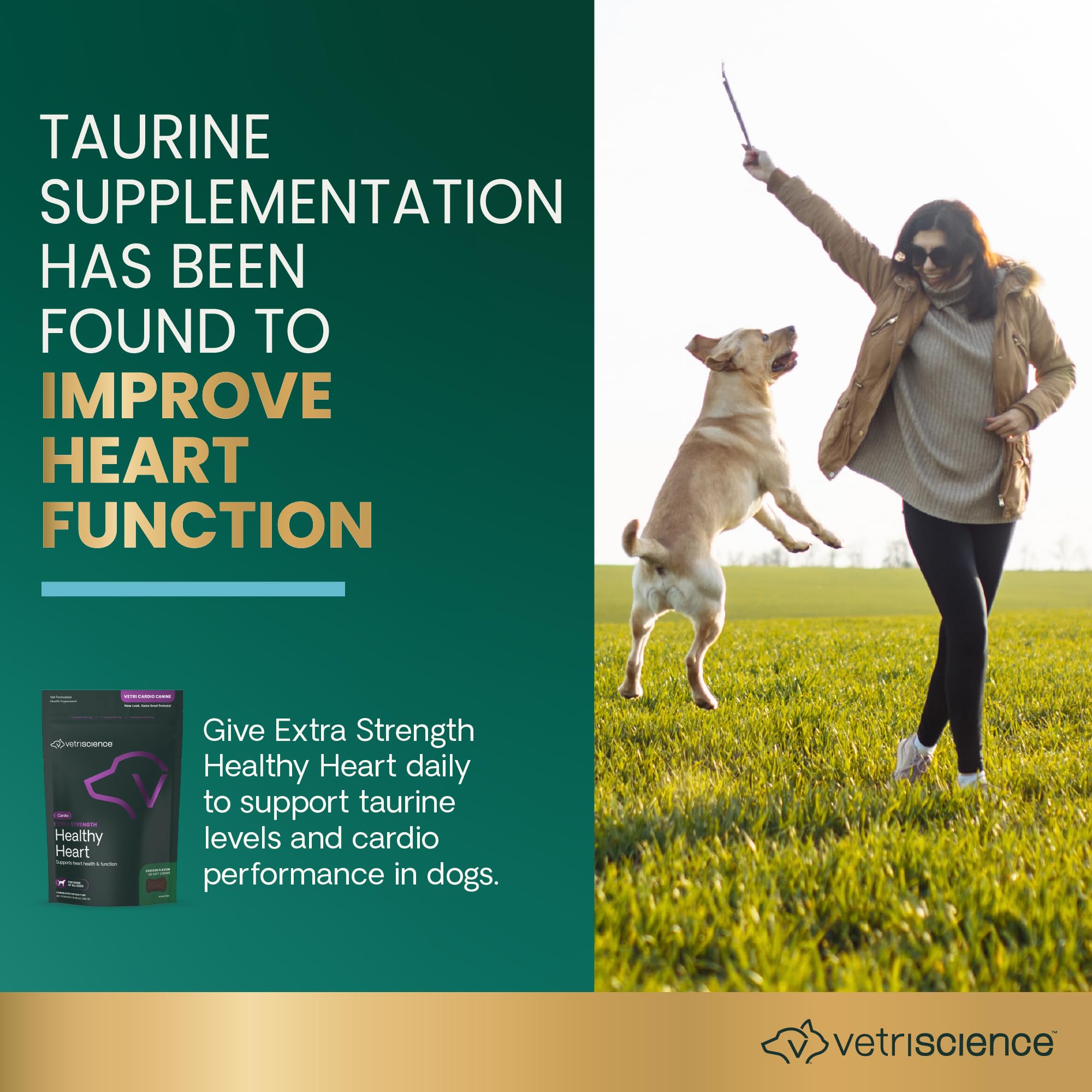 Chicken liver-flavored VetriScience chews are easy to offer daily.