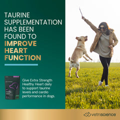Chicken liver-flavored VetriScience chews are easy to offer daily.