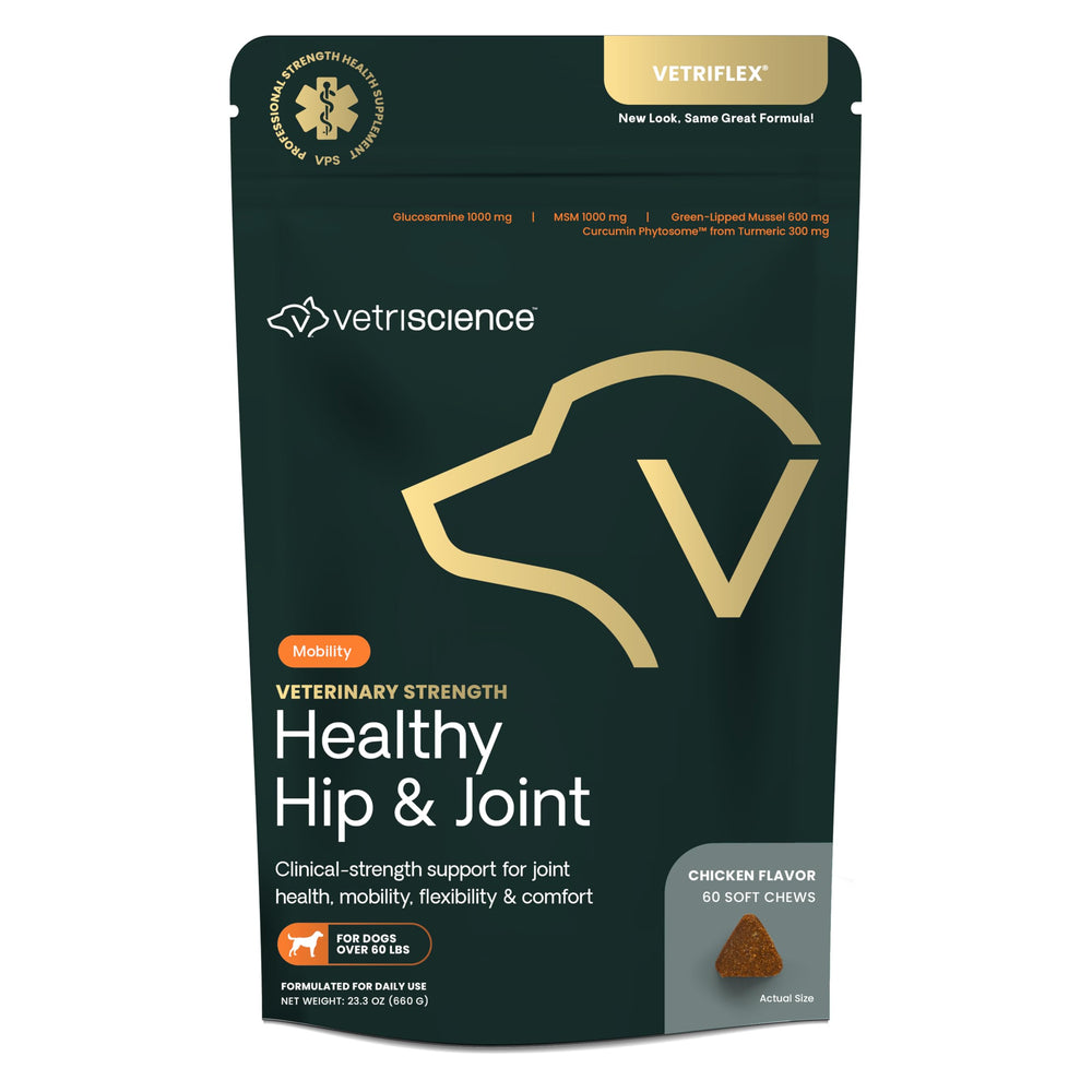 VetriScience Healthy Hip & Joint chews bottle front for large dogs mobility support