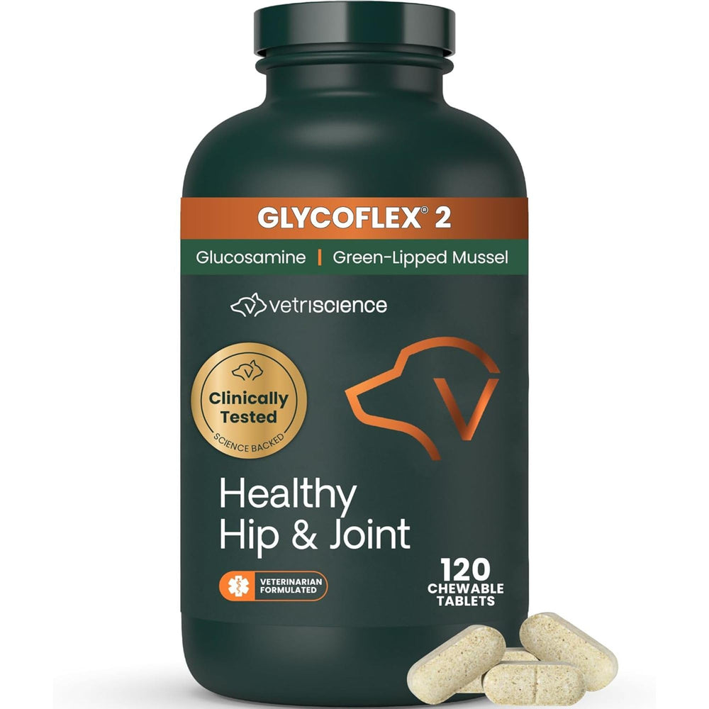VetriScience Healthy Hip and Joint chews in bottle support dog mobility.