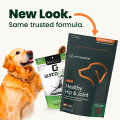 VetriScience Healthy Hip & Joint chews packaging highlights GlycoFlex ingredients for mobility.