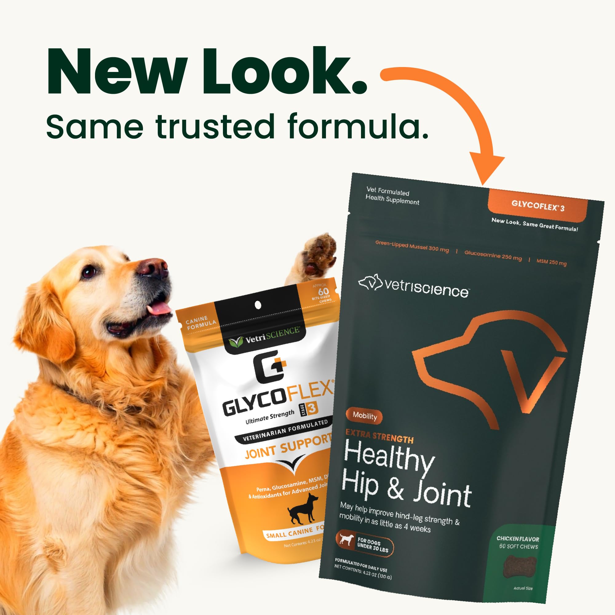 VetriScience chews served in a dish, demonstrating tasty daily joint support for small dogs.