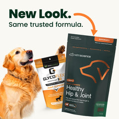 VetriScience chews served in a dish, demonstrating tasty daily joint support for small dogs.