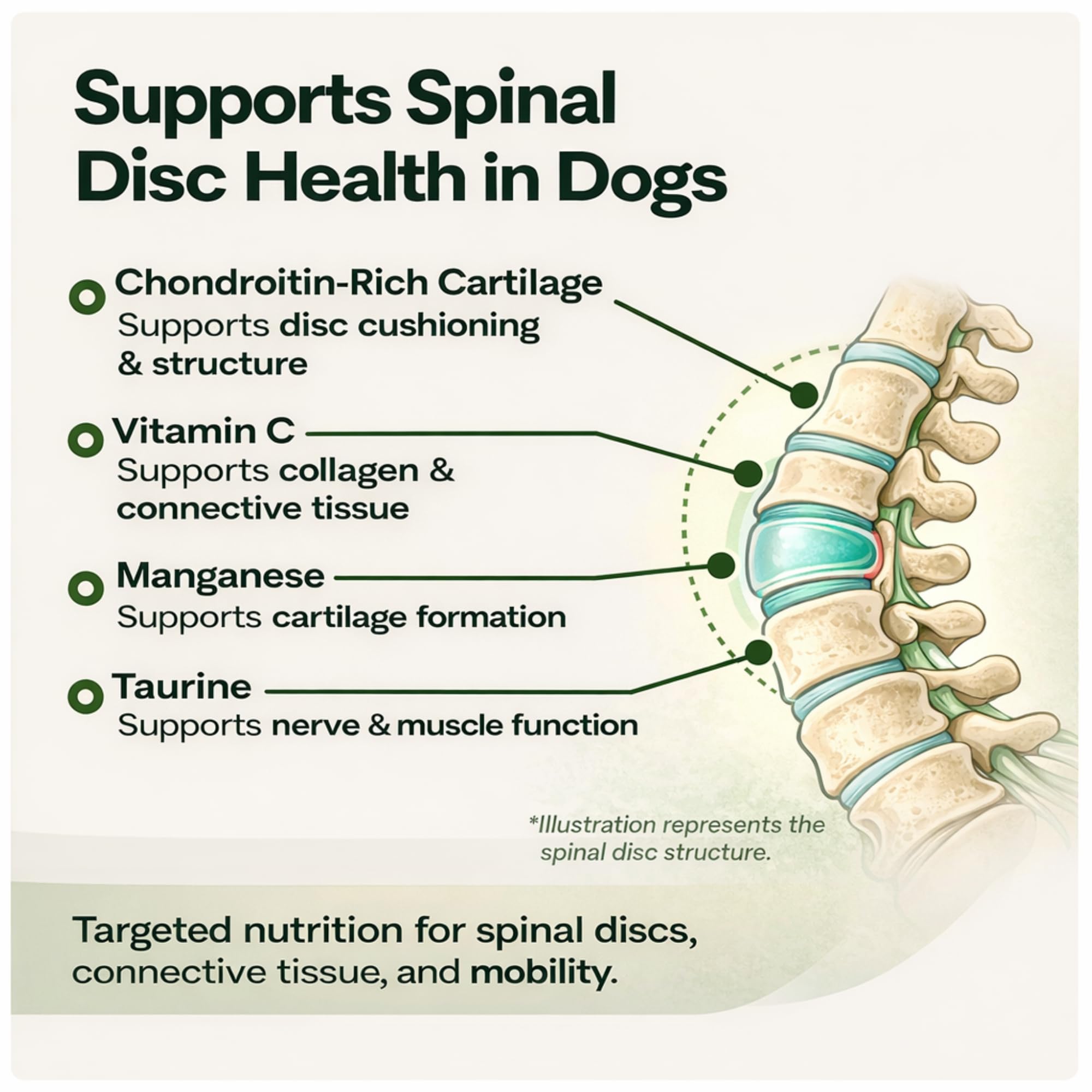 VetriScience Healthy Spine & Disc capsules open with powder for easy mixing.