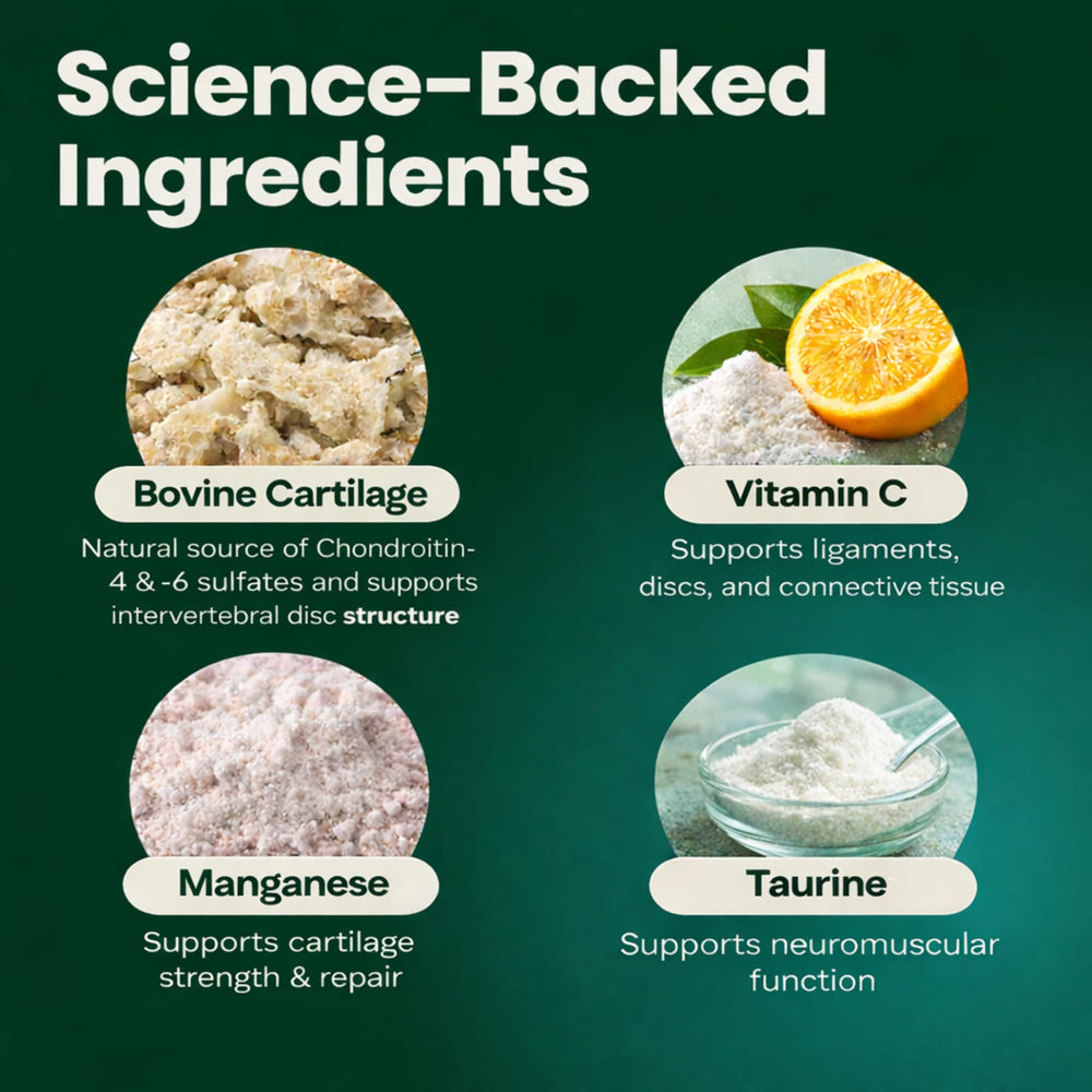 VetriScience Healthy Spine & Disc bottle pouring powder into a dog bowl for easy mixing.