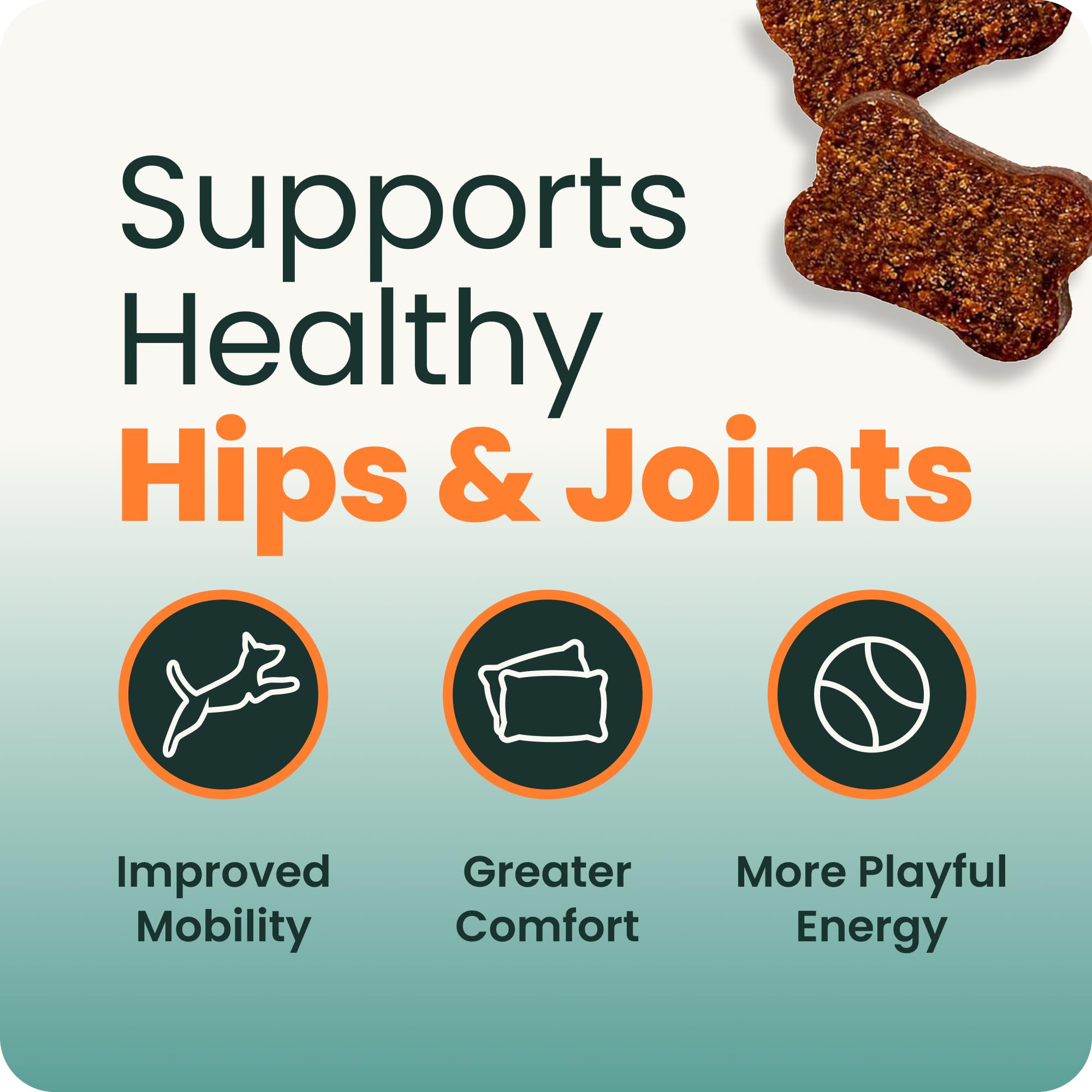 VetriScience hydrolyzed chicken-flavor chews for dogs with sensitivities.