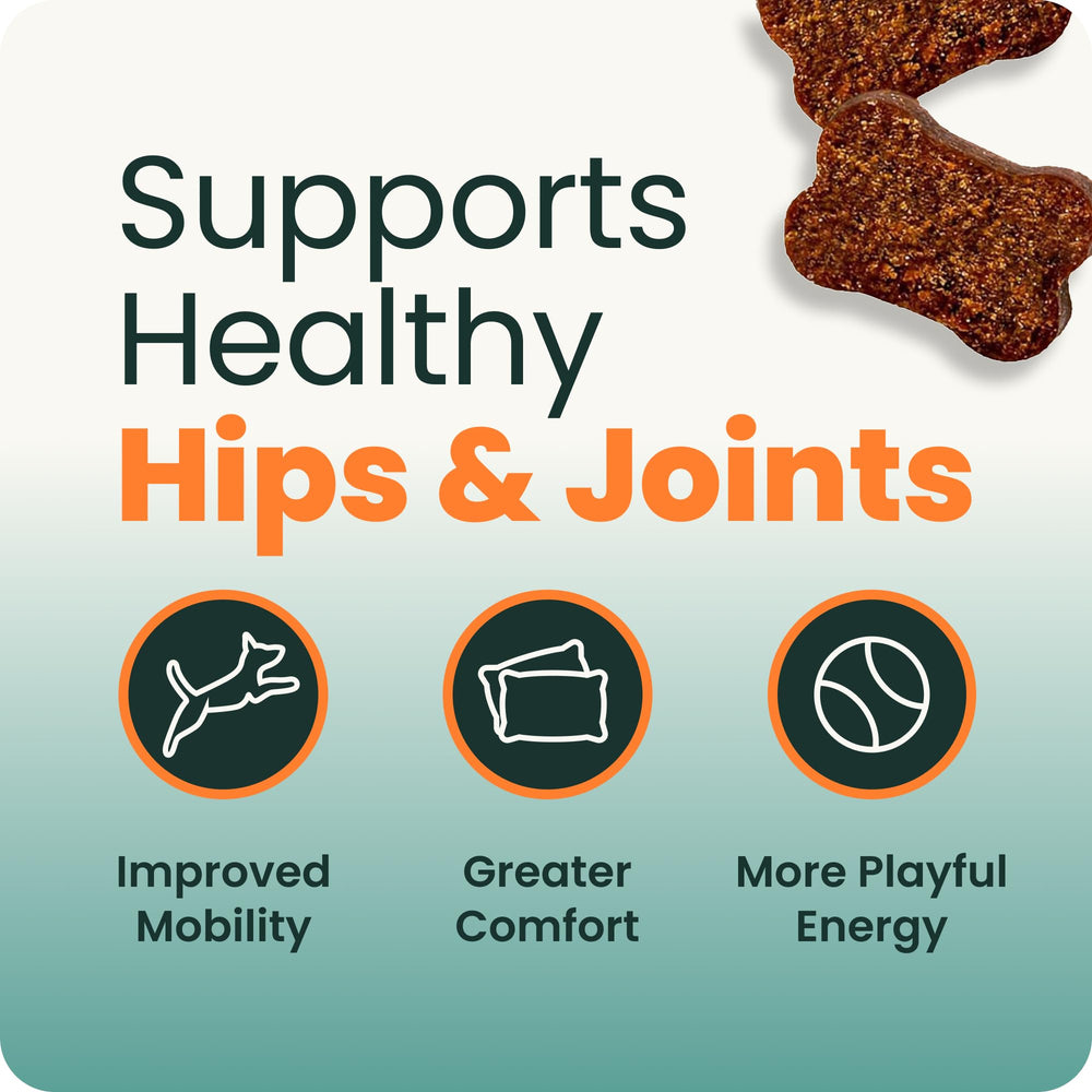 VetriScience hydrolyzed chicken-flavor chews for dogs with sensitivities.