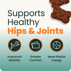 VetriScience hydrolyzed chicken-flavor chews for dogs with sensitivities.