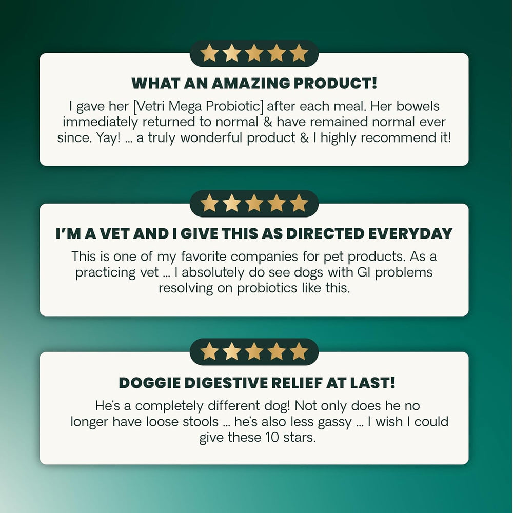 VetriScience immune and skin support derived from gut health for pets