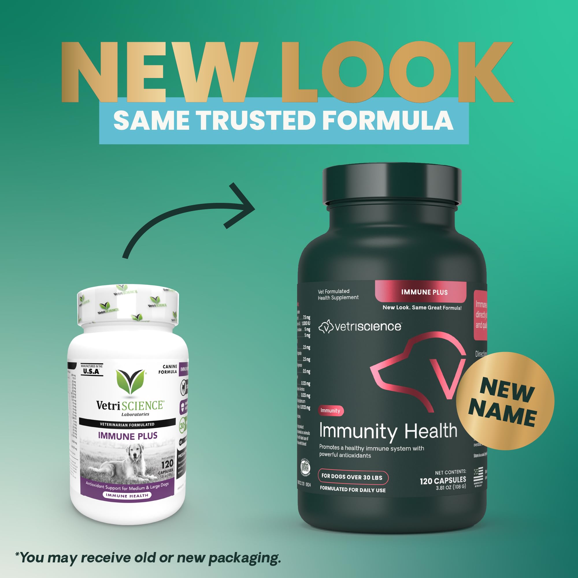 VetriScience Immunity Health bottle front highlighting immune support for dogs.