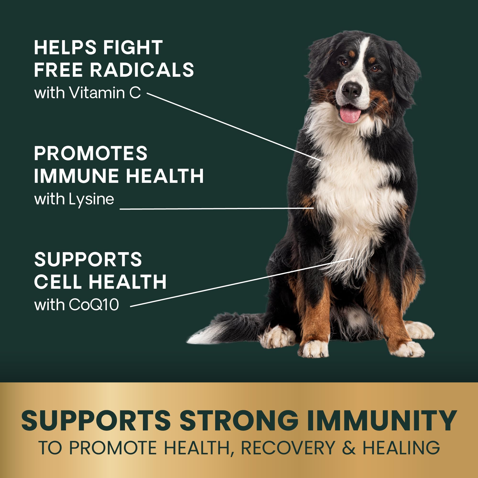 VetriScience Immunity Health capsules being dispensed for easy sprinkle on food.