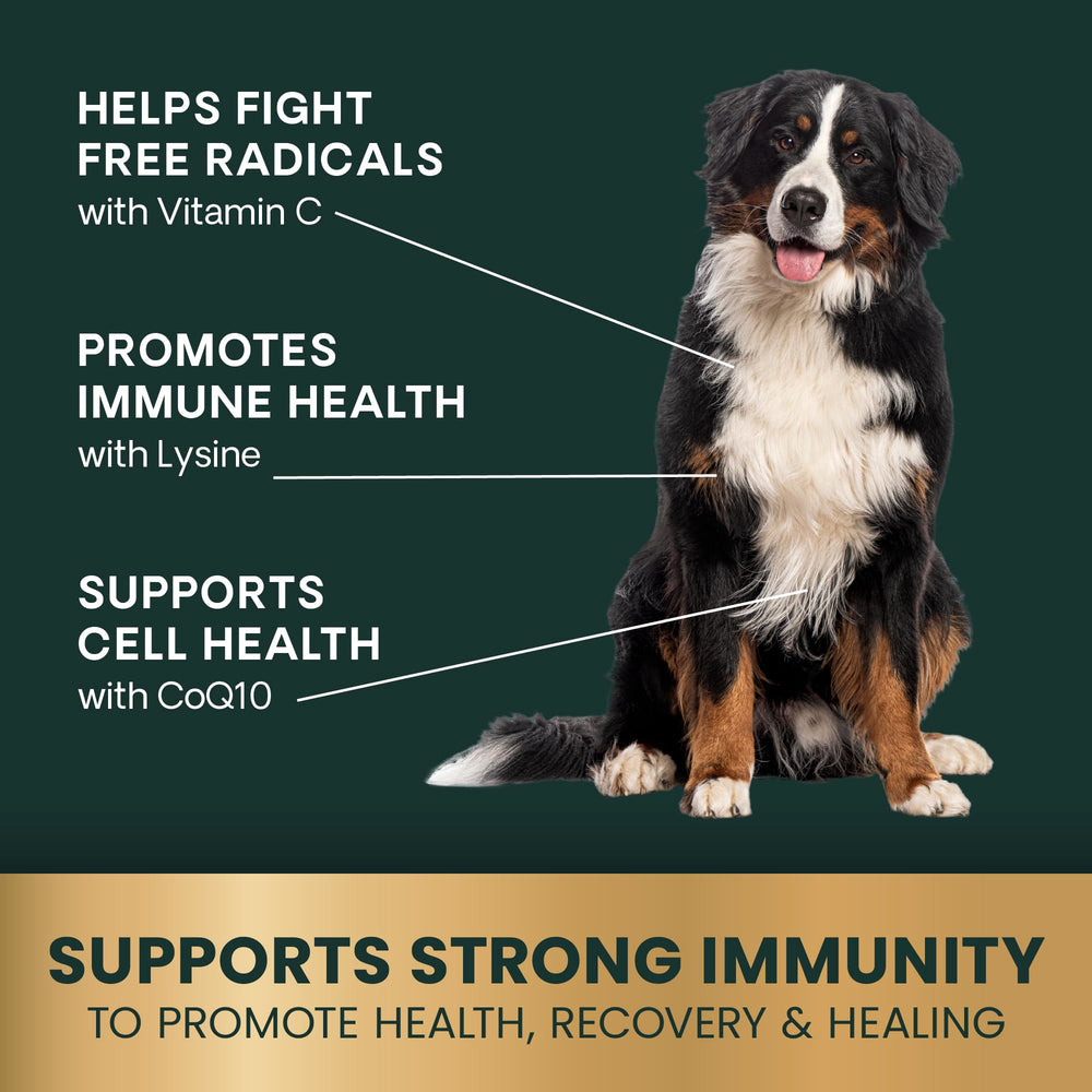 VetriScience Immunity Health capsules being dispensed for easy sprinkle on food.