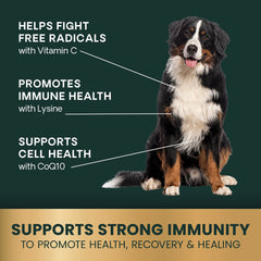 VetriScience Immunity Health capsules being dispensed for easy sprinkle on food.