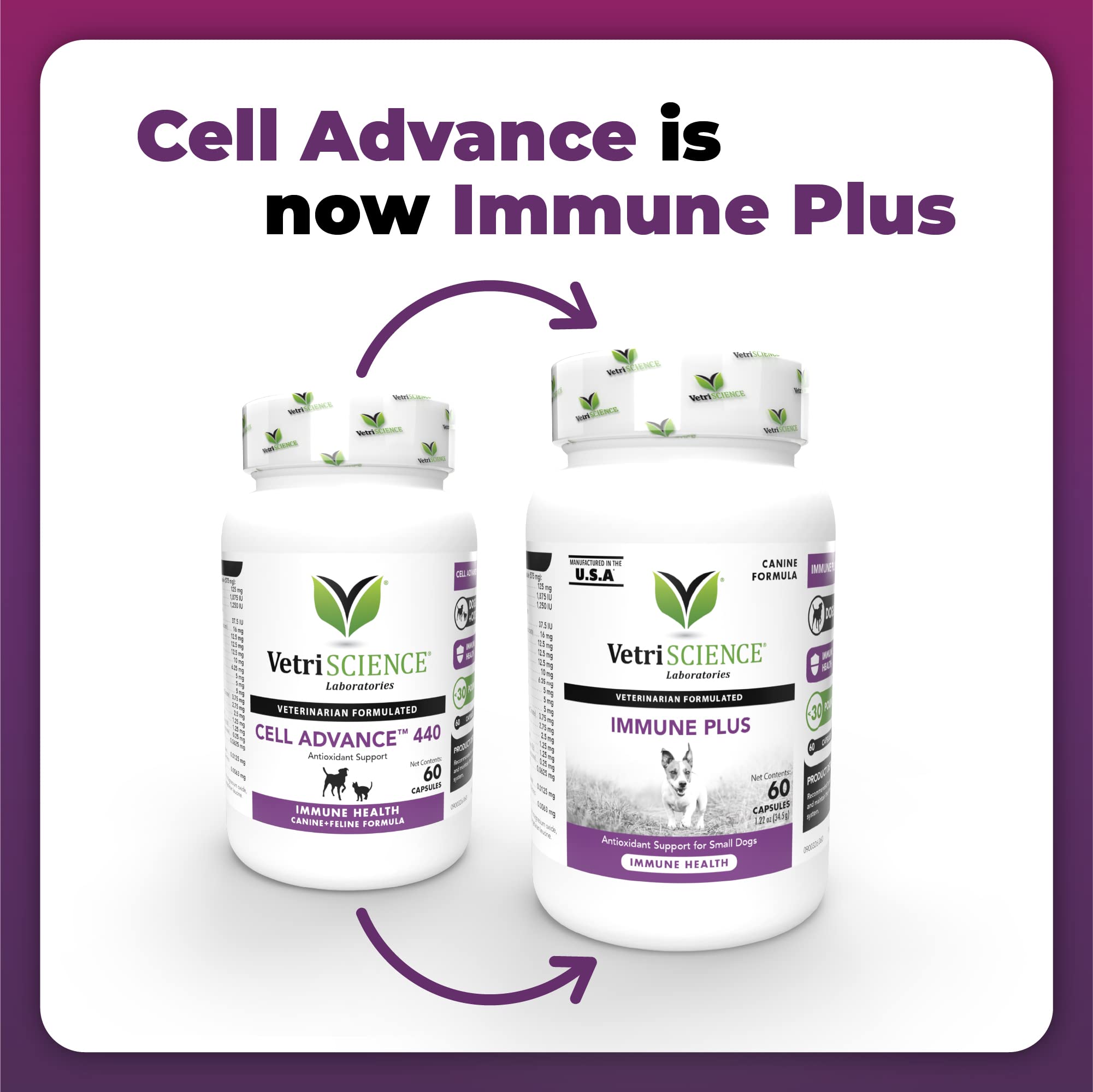 Open Immunity Health capsule shown for easy mixing into dog food