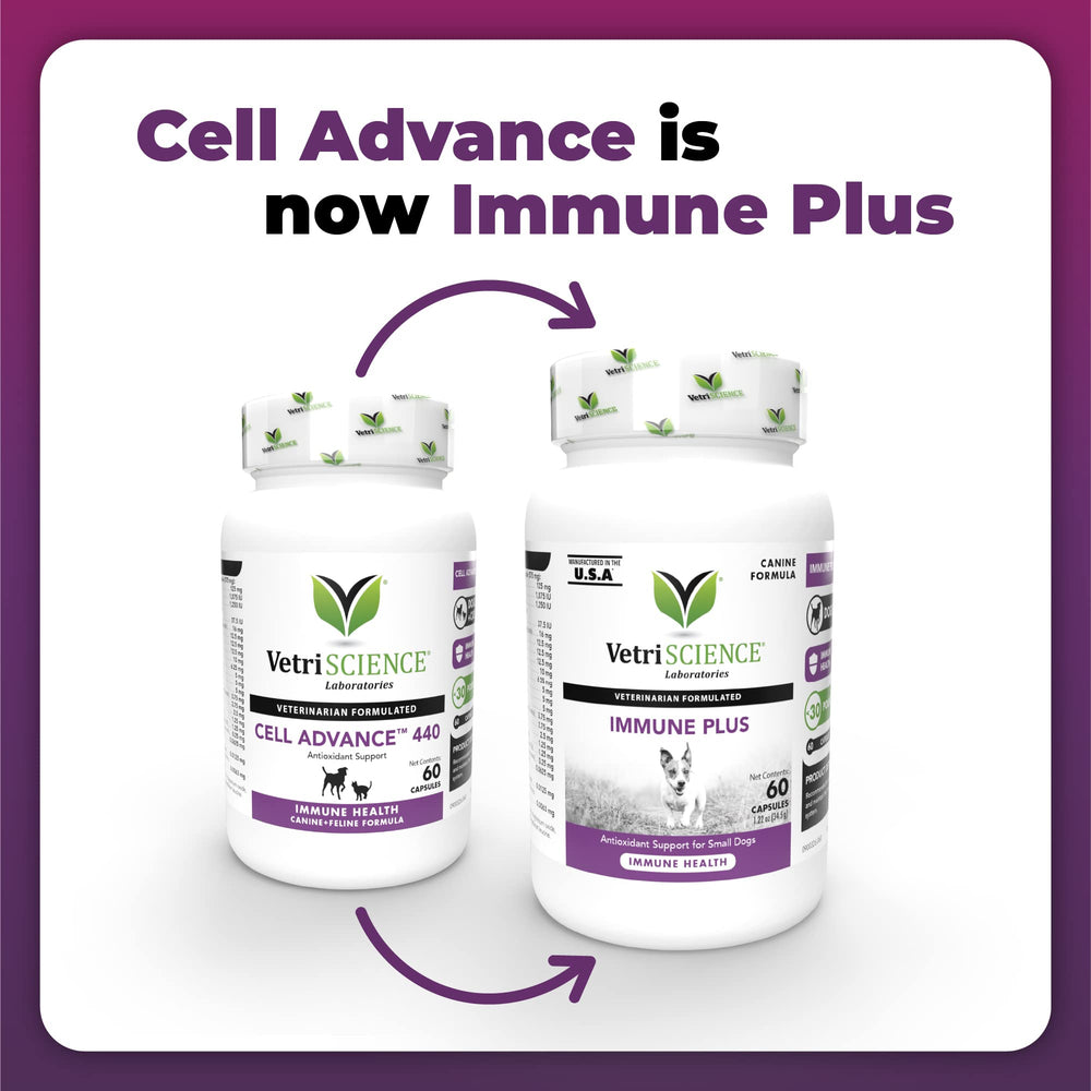 Open Immunity Health capsule shown for easy mixing into dog food