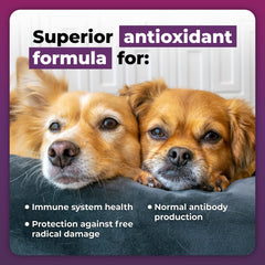 VetriScience Immunity Health capsules packaging highlighting hypoallergenic antioxidant formula