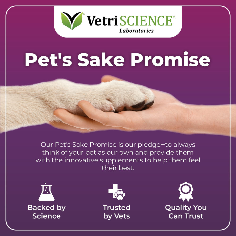 Daily-use Immunity Health designed for small dog dosing and convenience