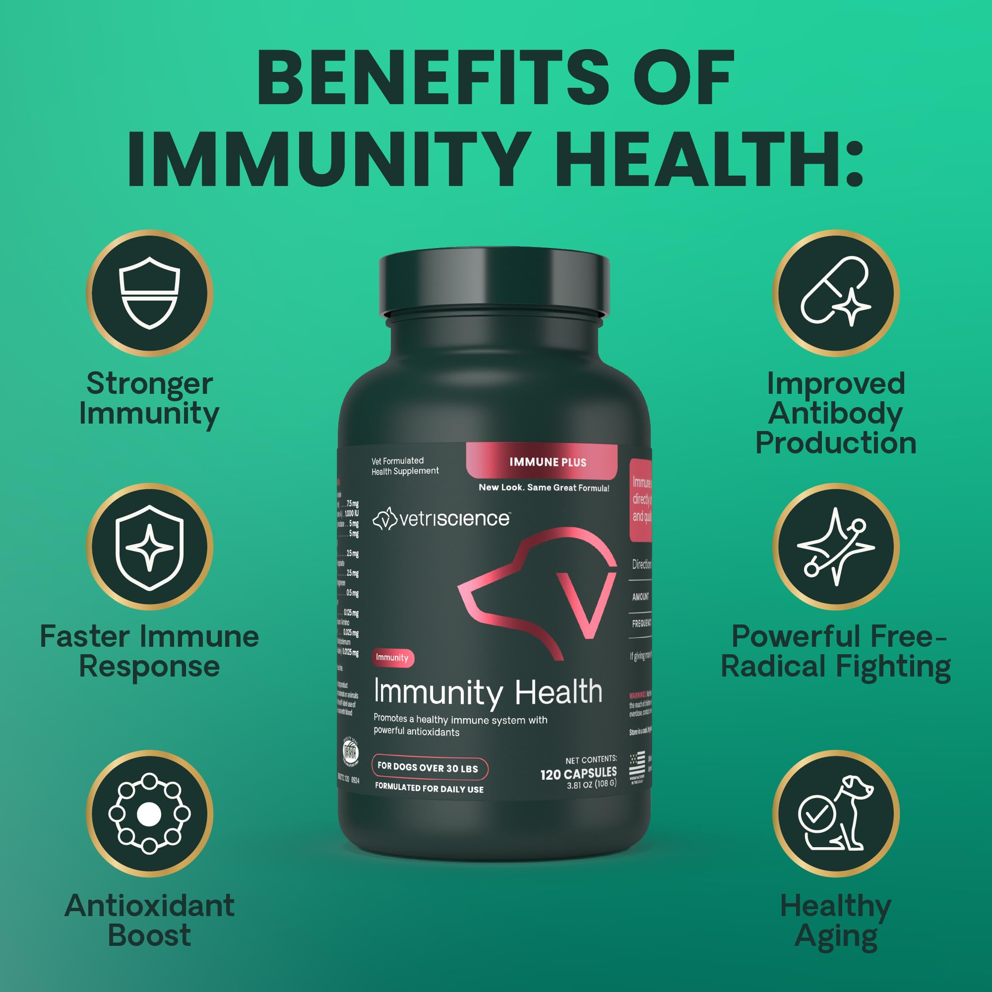 VetriScience Immunity Health sprinkled over dog food for immune support during meals.