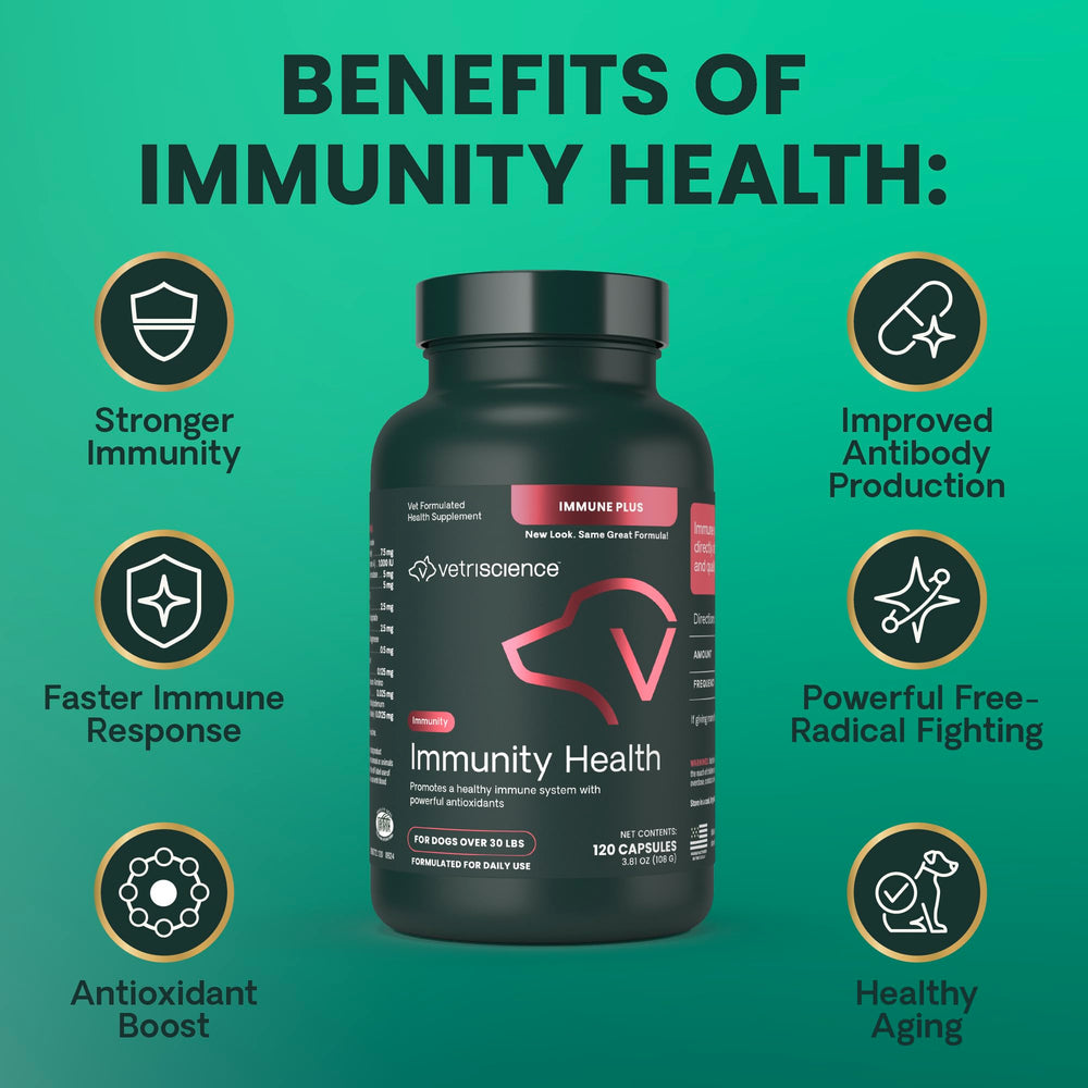 VetriScience Immunity Health sprinkled over dog food for immune support during meals.