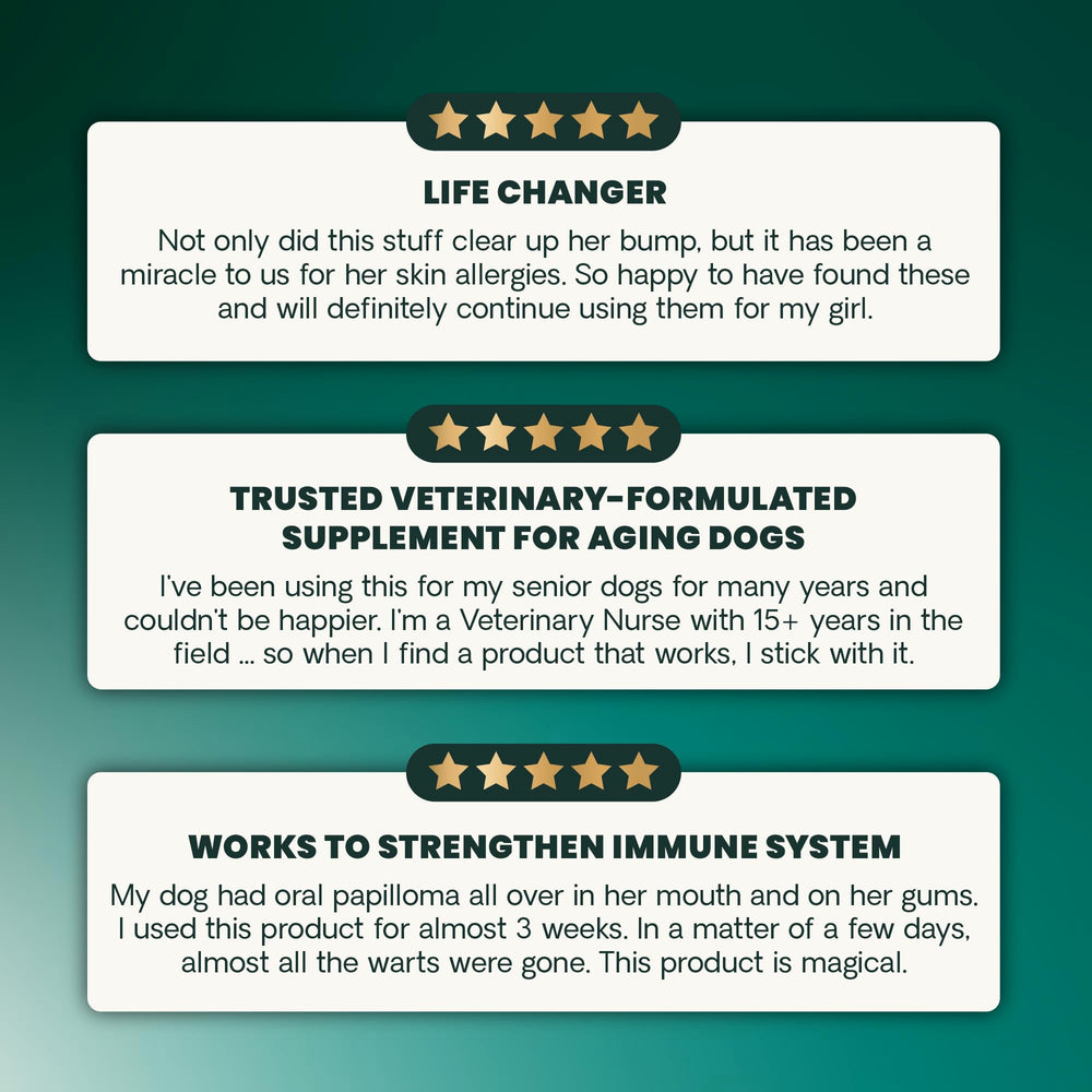 VetriScience Immunity Health supports senior dogs with immune and cellular care.
