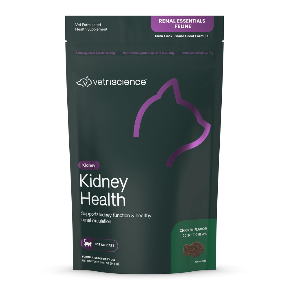 VetriScience Kidney Health chews beside a cat bowl for easy kidney support.