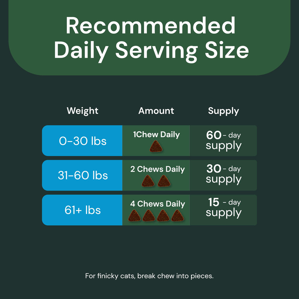 VetriScience Kidney Health Chews dog usage — supports canine kidney wellness