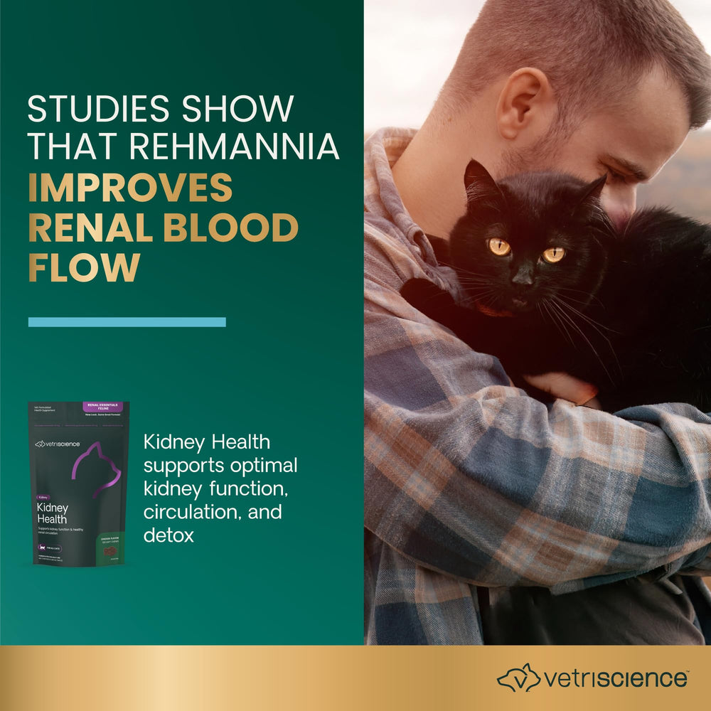 Ingredient label view highlights Rehmannia, astragalus, and omega fatty acids for renal support.