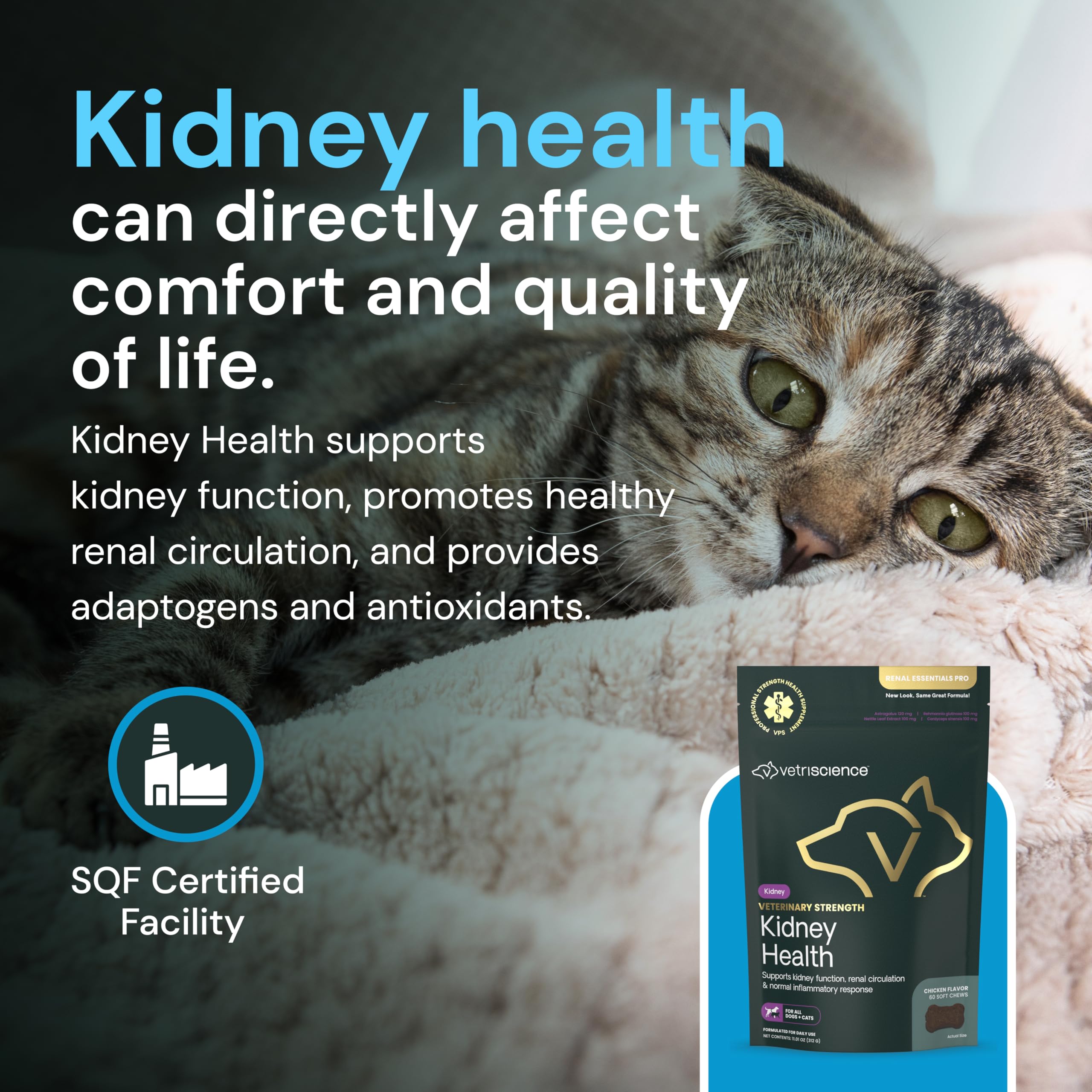 Ingredients bundle — VetriScience Kidney Health Chews includes vitamins, herbs