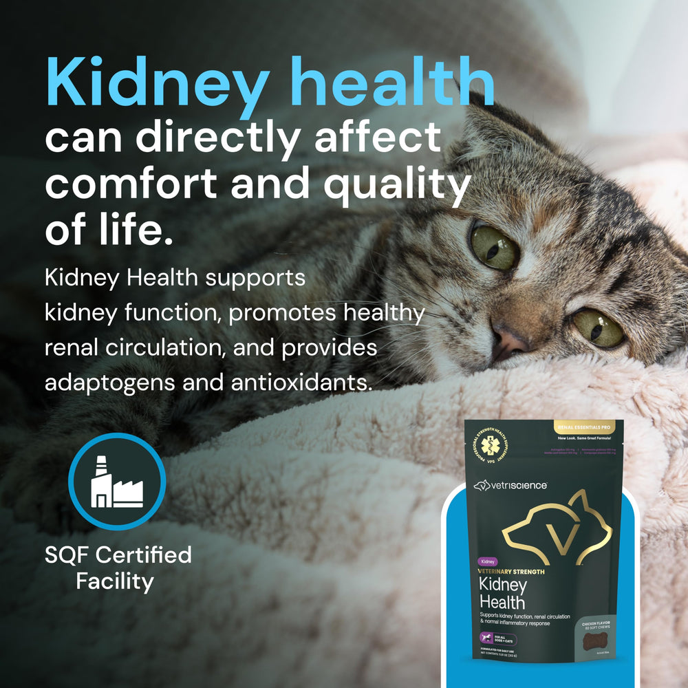 Ingredients bundle — VetriScience Kidney Health Chews includes vitamins, herbs